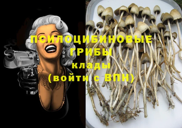 не бодяженный Володарск