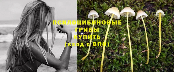 2c-b Волосово