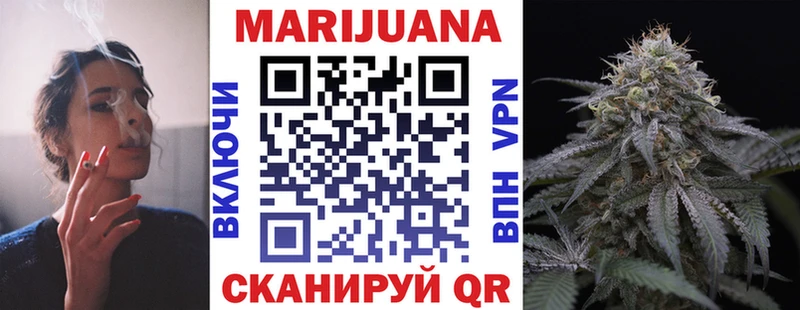 Купить где  Камешково  МАРИХУАНА SATIVA & INDICA 